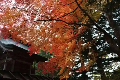 三春大神宮の本殿