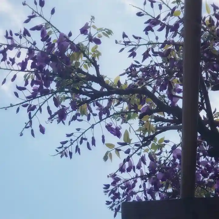 篠ケ谷神社の自然