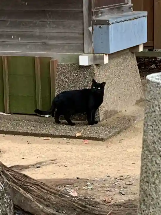 生田神社(兵庫県)