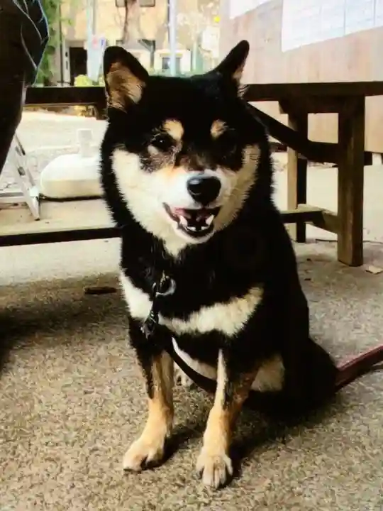 上目黒氷川神社(東京都)