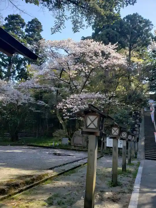 脇子八幡宮の自然