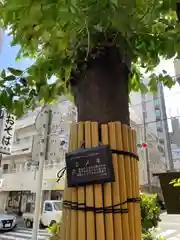 榎大六天神(東京都)