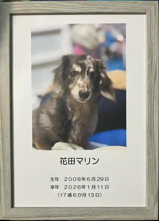 聖光寺の{uncategorized: "未分類", other: "その他", undefined: "問題あり", building: "その他建物", grave: "お墓", sacred_gate: "鳥居", guardian: "狛犬", statue: "像", buddha: "仏像", history: "歴史", nature: "自然", garden: "庭園", animal: "動物", pagoda: "塔", temizu: "手水舎", mountain_gate: "山門・神門", sanctuary: "本殿・本堂", subordinate: "末社・摂社", art: "芸術", scenery: "景色", jizo: "地蔵", ema: "絵馬", goshuin: "御朱印", omikuji: "おみくじ", items: "授与品その他", amulet: "お守り", goshuincho: "御朱印帳", eats: "食事", festival: "お祭り", votive_dance: "神楽", shichigosan: "七五三参", wedding: "結婚式", experience: "体験その他", initially: "初詣", around: "周辺", anti_infection: "感染症対策"}