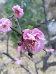 成子天神社の自然