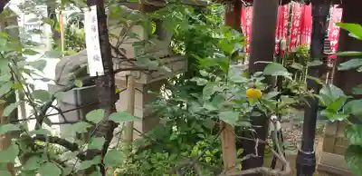 平河天満宮のその他建物