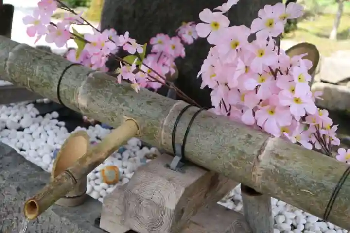 賀茂別雷神社(上賀茂神社)(京都府)