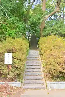柴崎神社(千葉県)