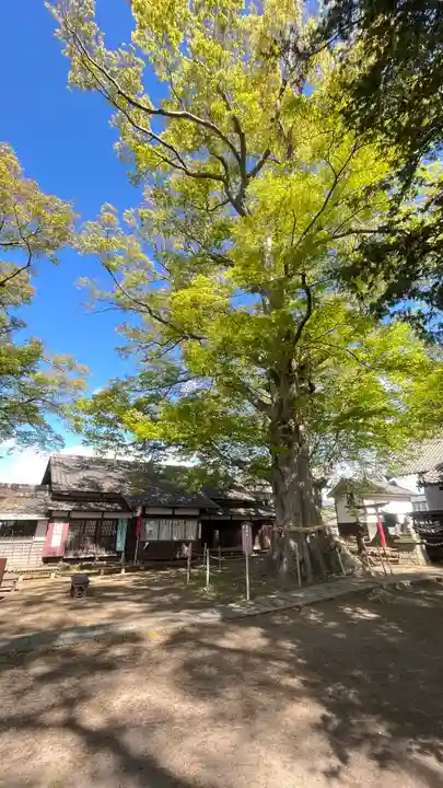 白鳥神社(長野県)