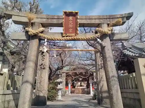 皇大神宮の鳥居