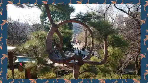清水観音堂(東京都)