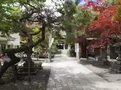 彌彦神社　(伊夜日子神社)の建物その他