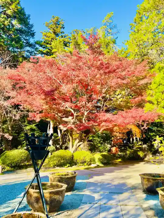 覚園寺(神奈川県)