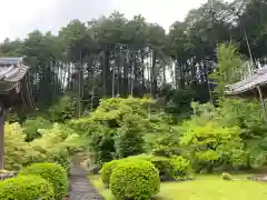 禅徳寺の庭園