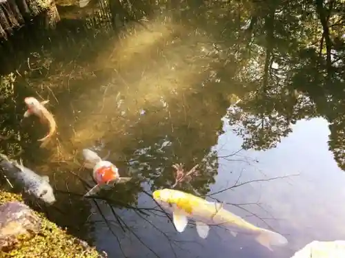 天授庵の庭園