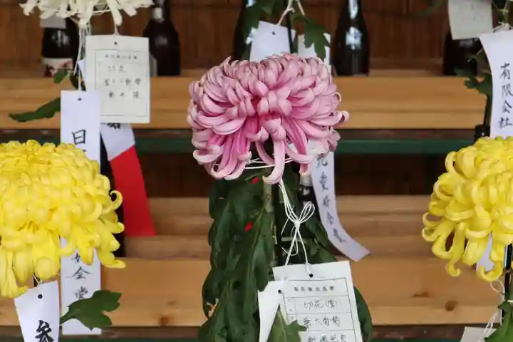 高麗神社のその他建物