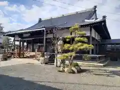 本願寺長浜別院(滋賀県)