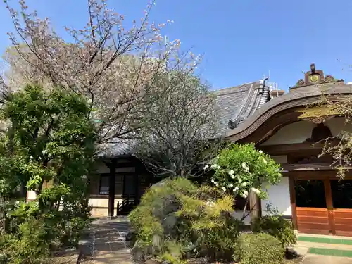 大泉寺(東京都)