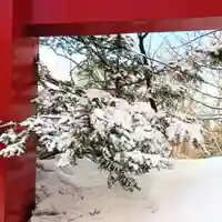 彌彦神社 (伊夜日子神社)の自然