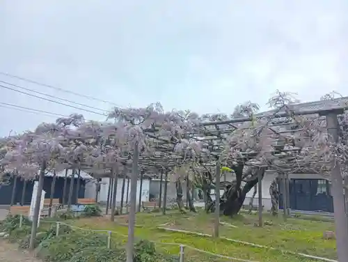 竹鼻別院(岐阜県)