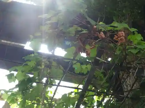 菊名神社のその他建物