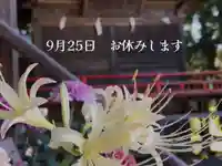 高司神社〜むすびの神の鎮まる社〜(福島県)