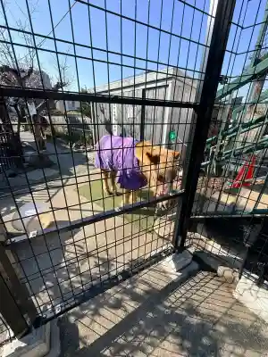 五方山熊野神社の{uncategorized: "未分類", other: "その他", undefined: "問題あり", building: "その他建物", grave: "お墓", sacred_gate: "鳥居", guardian: "狛犬", statue: "像", buddha: "仏像", history: "歴史", nature: "自然", garden: "庭園", animal: "動物", pagoda: "塔", temizu: "手水舎", mountain_gate: "山門・神門", sanctuary: "本殿・本堂", subordinate: "末社・摂社", art: "芸術", scenery: "景色", jizo: "地蔵", ema: "絵馬", goshuin: "御朱印", omikuji: "おみくじ", items: "授与品その他", amulet: "お守り", goshuincho: "御朱印帳", eats: "食事", festival: "お祭り", votive_dance: "神楽", shichigosan: "七五三参", wedding: "結婚式", experience: "体験その他", initially: "初詣", around: "周辺", anti_infection: "感染症対策"}