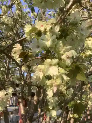 遍照院(愛知県)