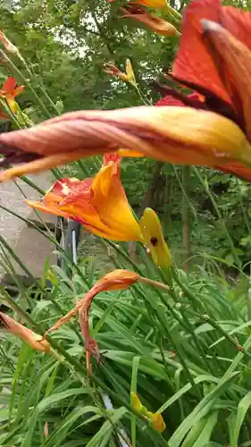 本土寺(千葉県)