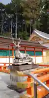 大原野神社の狛犬