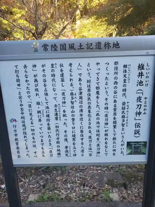 夜刀神社(愛宕神社境内社)の歴史