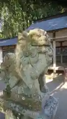 佐羅早松神社の狛犬