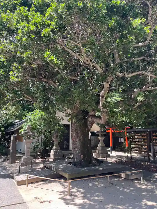芦屋神社(兵庫県)