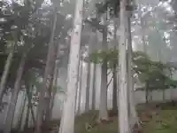 三峯神社の自然