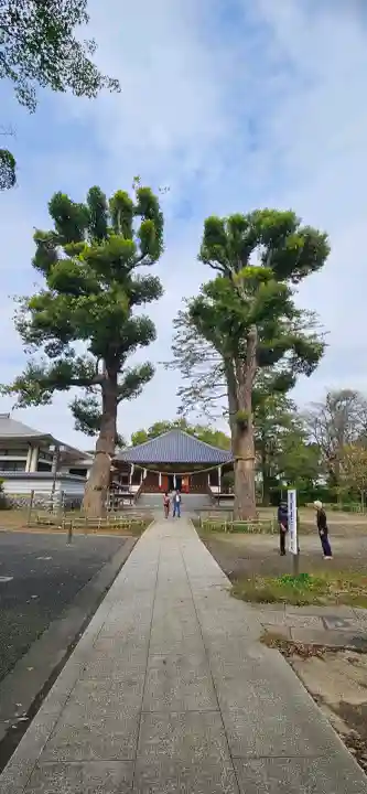 弘法寺の{uncategorized: "未分類", other: "その他", undefined: "問題あり", building: "その他建物", grave: "お墓", sacred_gate: "鳥居", guardian: "狛犬", statue: "像", buddha: "仏像", history: "歴史", nature: "自然", garden: "庭園", animal: "動物", pagoda: "塔", temizu: "手水舎", mountain_gate: "山門・神門", sanctuary: "本殿・本堂", subordinate: "末社・摂社", art: "芸術", scenery: "景色", jizo: "地蔵", ema: "絵馬", goshuin: "御朱印", omikuji: "おみくじ", items: "授与品その他", amulet: "お守り", goshuincho: "御朱印帳", eats: "食事", festival: "お祭り", votive_dance: "神楽", shichigosan: "七五三参", wedding: "結婚式", experience: "体験その他", initially: "初詣", around: "周辺", anti_infection: "感染症対策"}