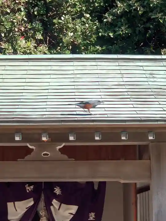 聖天神社(聖天上人像社)(神奈川県)