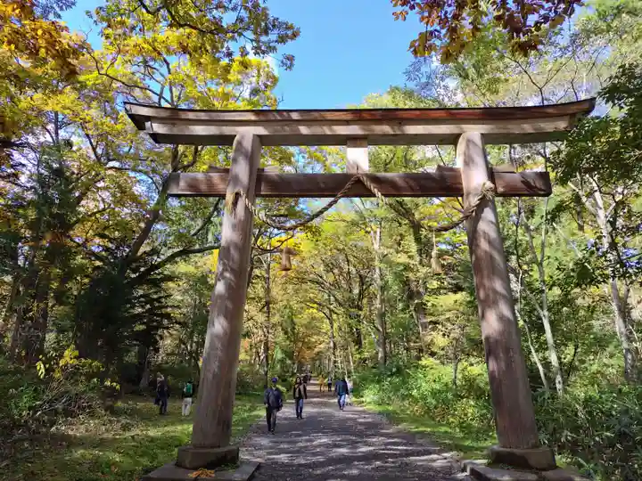 戸隠神社奥社(長野県)