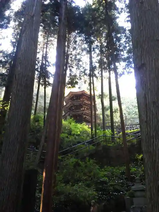 安楽寺のその他建物