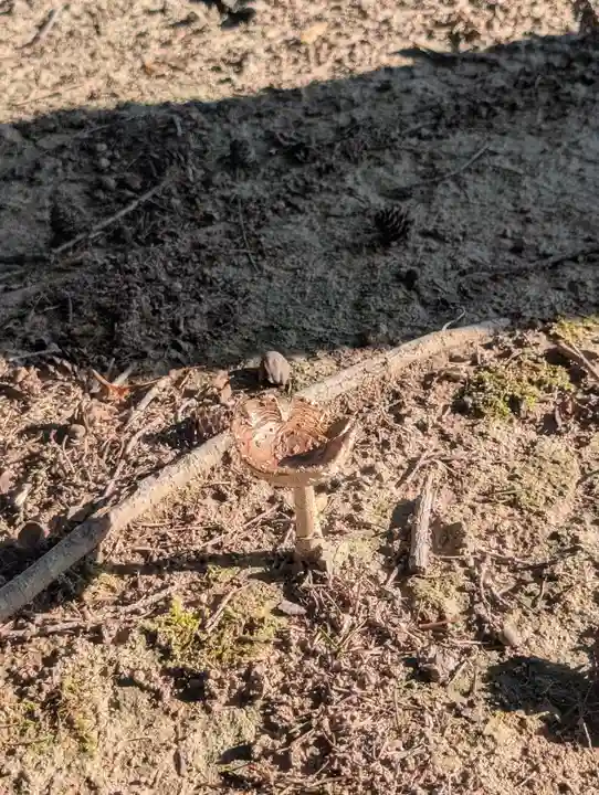 長沢神社(北海道)