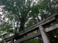 風早不動尊の鳥居