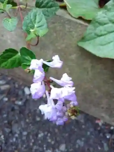 於三稲荷神社の庭園