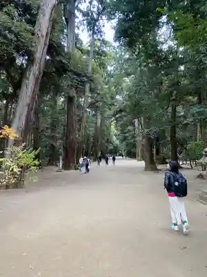 鹿島神宮(茨城県)