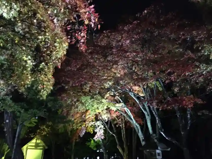 北広島市総鎮守 廣島神社の自然