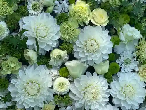 浄誓寺(大阪府)