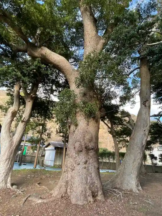 部田神社の自然