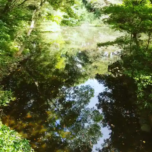 明治神宮の庭園