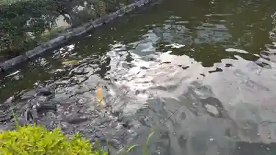 神泉苑(京都府)