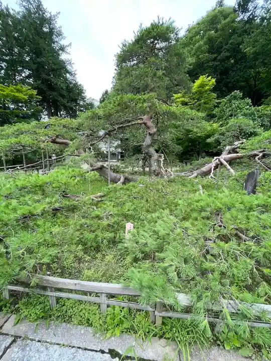 常楽寺(長野県)