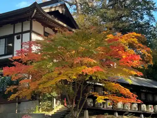 新海三社神社(長野県)