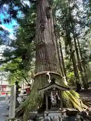 北口本宮冨士浅間神社(山梨県)