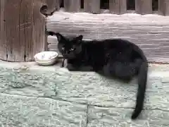 八幡神社の動物